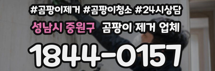 성남시 중원구 곰팡이 제거 업체