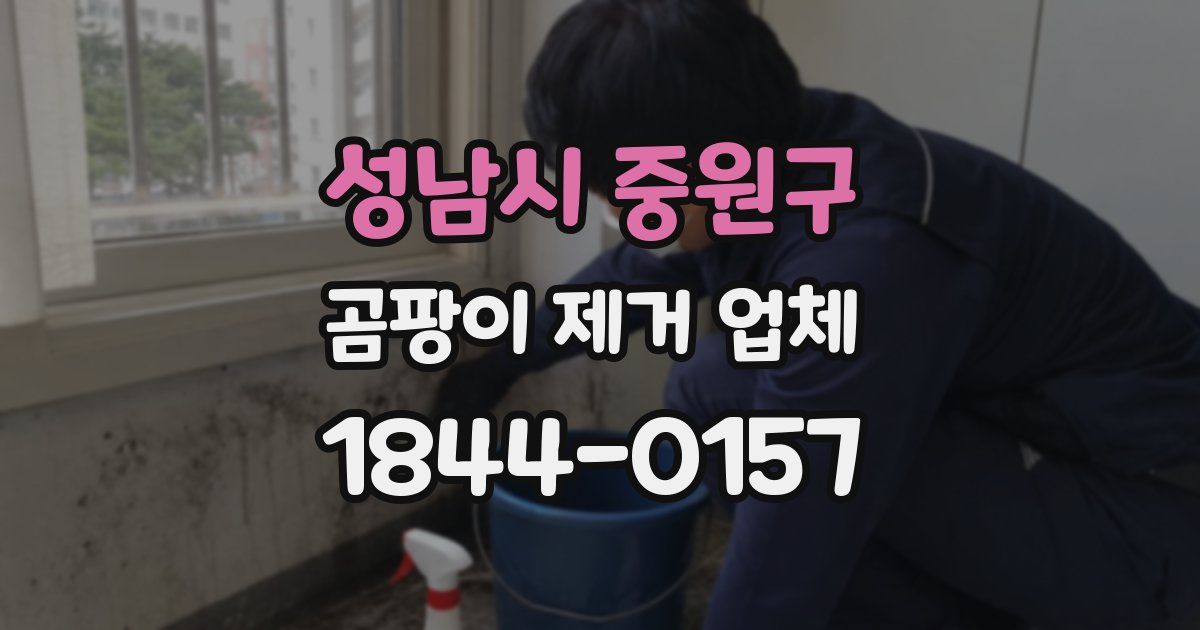 성남시 중원구 곰팡이 제거 업체