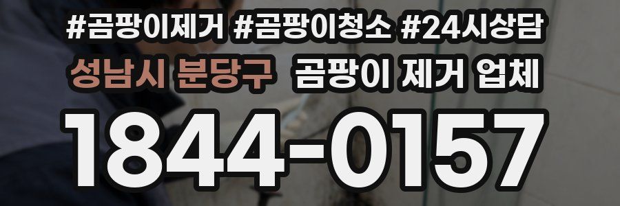 성남시 분당구 곰팡이 제거 업체