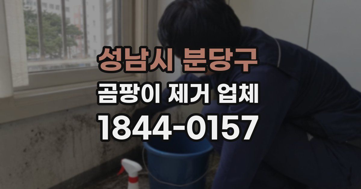 성남시 분당구 곰팡이 제거 업체