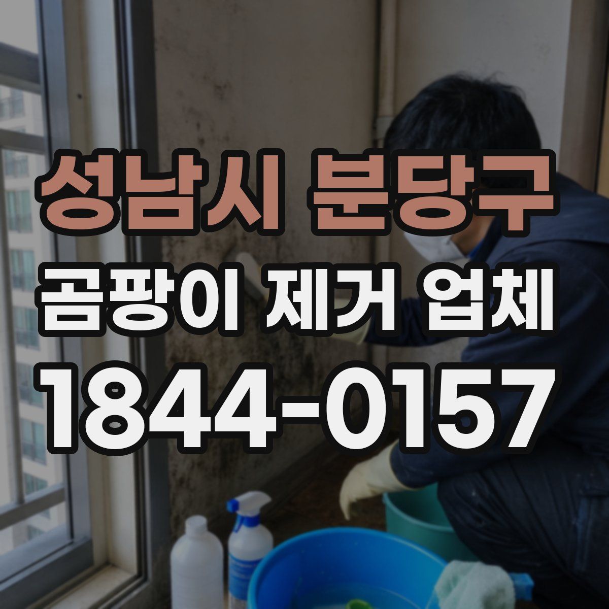 성남시 분당구 곰팡이 제거 업체