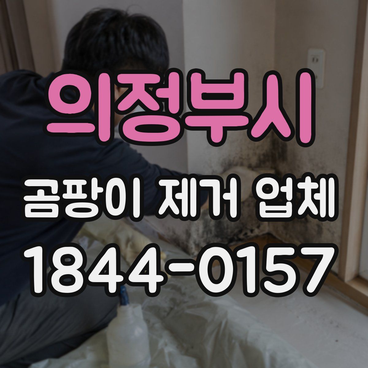 의정부시 곰팡이 제거 업체