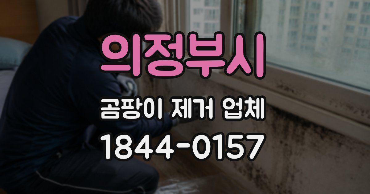 의정부시 곰팡이 제거 업체