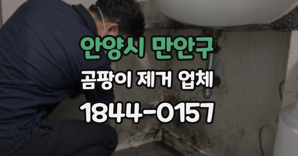 안양시 만안구 곰팡이 제거 업체