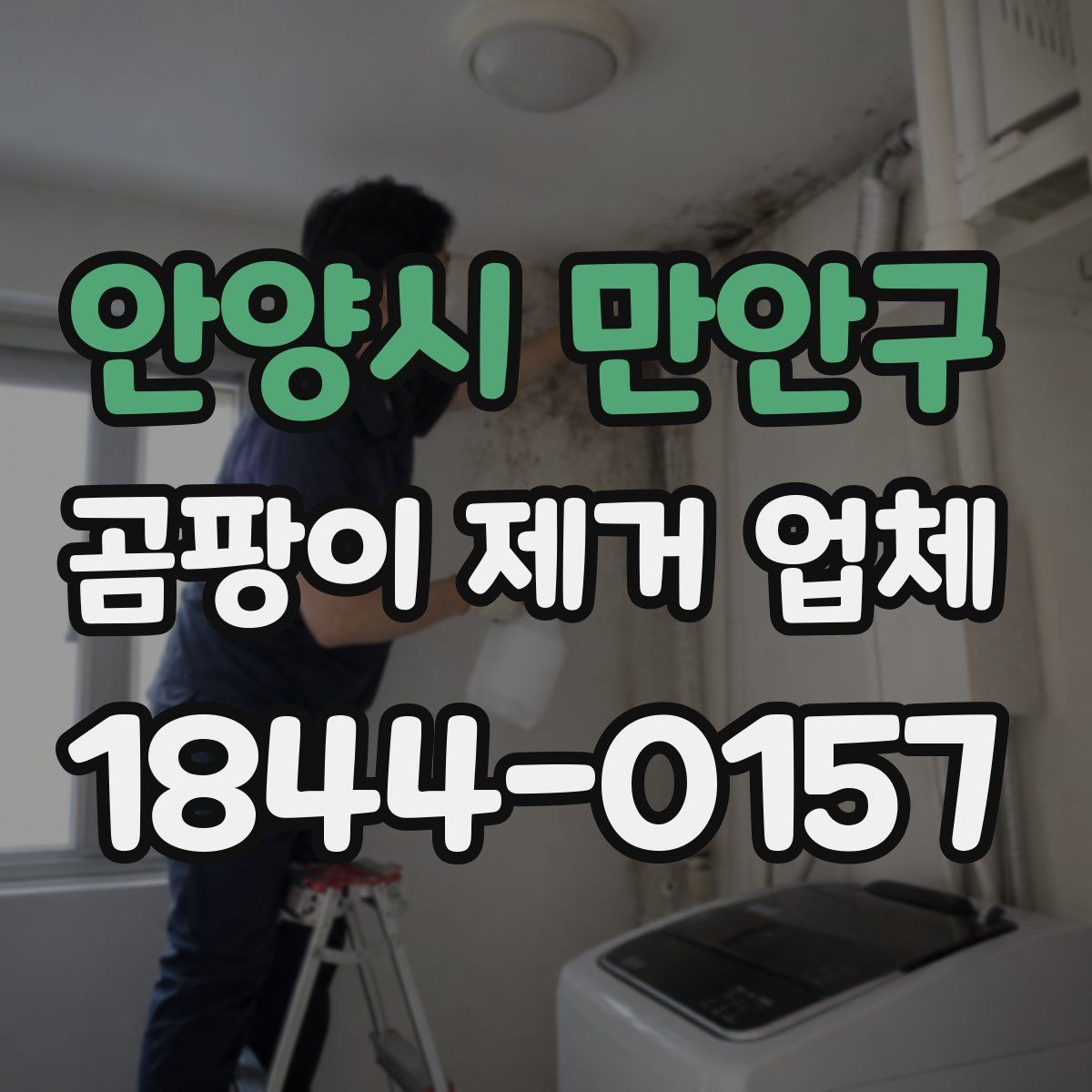 안양시 만안구 곰팡이 제거 업체