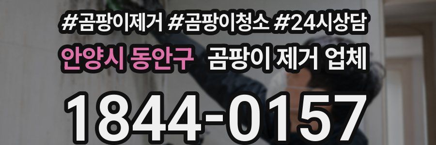 안양시 동안구 곰팡이 제거 업체