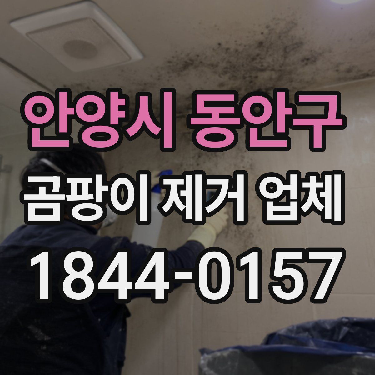 안양시 동안구 곰팡이 제거 업체