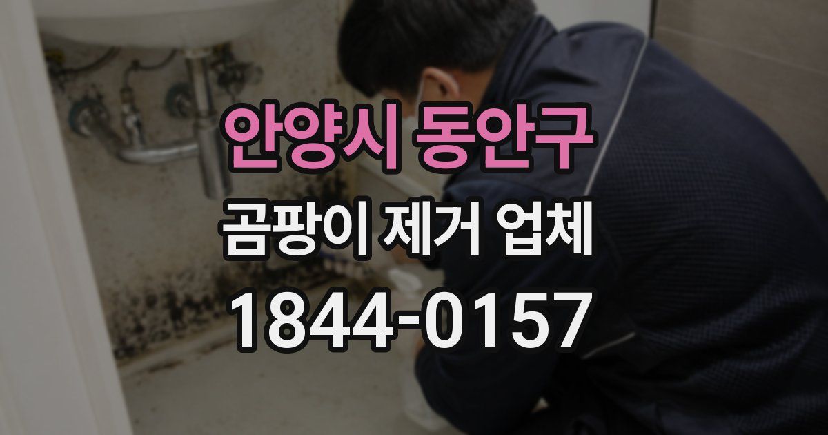 안양시 동안구 곰팡이 제거 업체