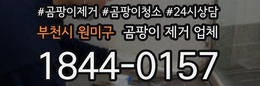 부천시 원미구 곰팡이 제거 업체