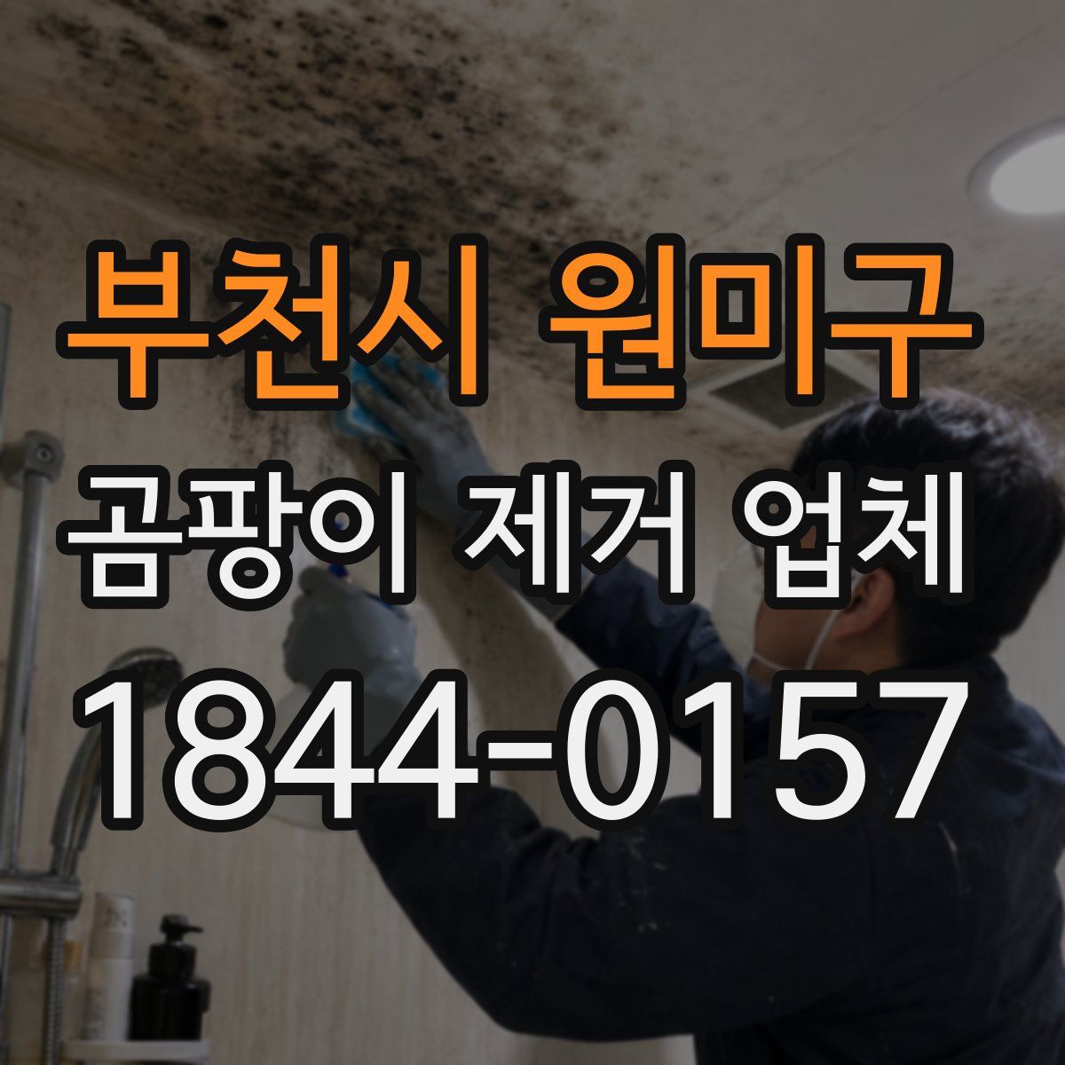 부천시 원미구 곰팡이 제거 업체