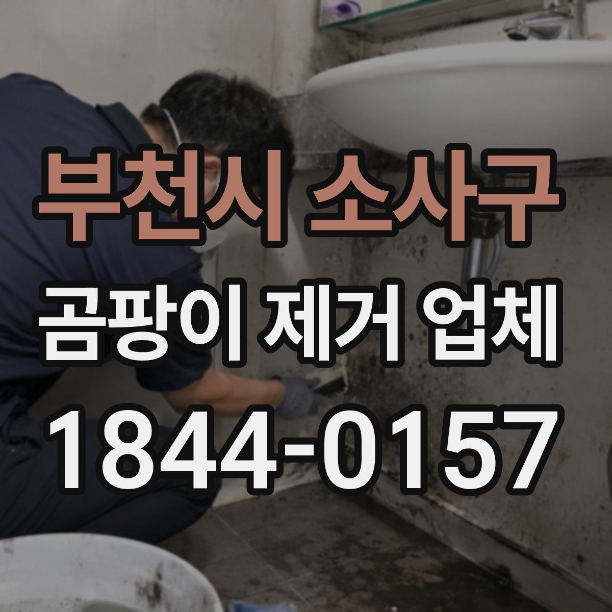 부천시 소사구 곰팡이 제거 업체