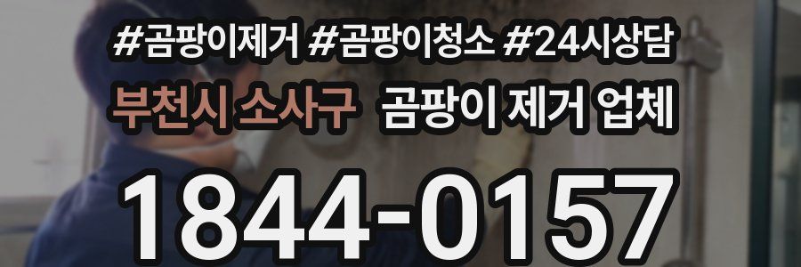부천시 소사구 곰팡이 제거 업체