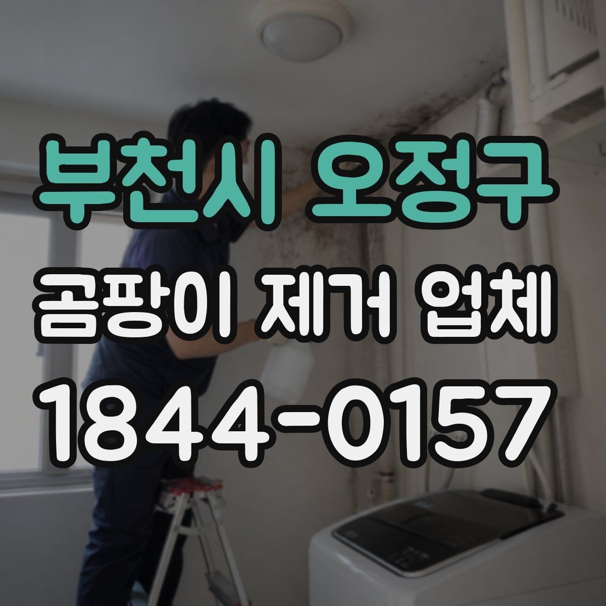 부천시 오정구 곰팡이 제거 업체 침투 원인을 찾는 진단 포인트 정리