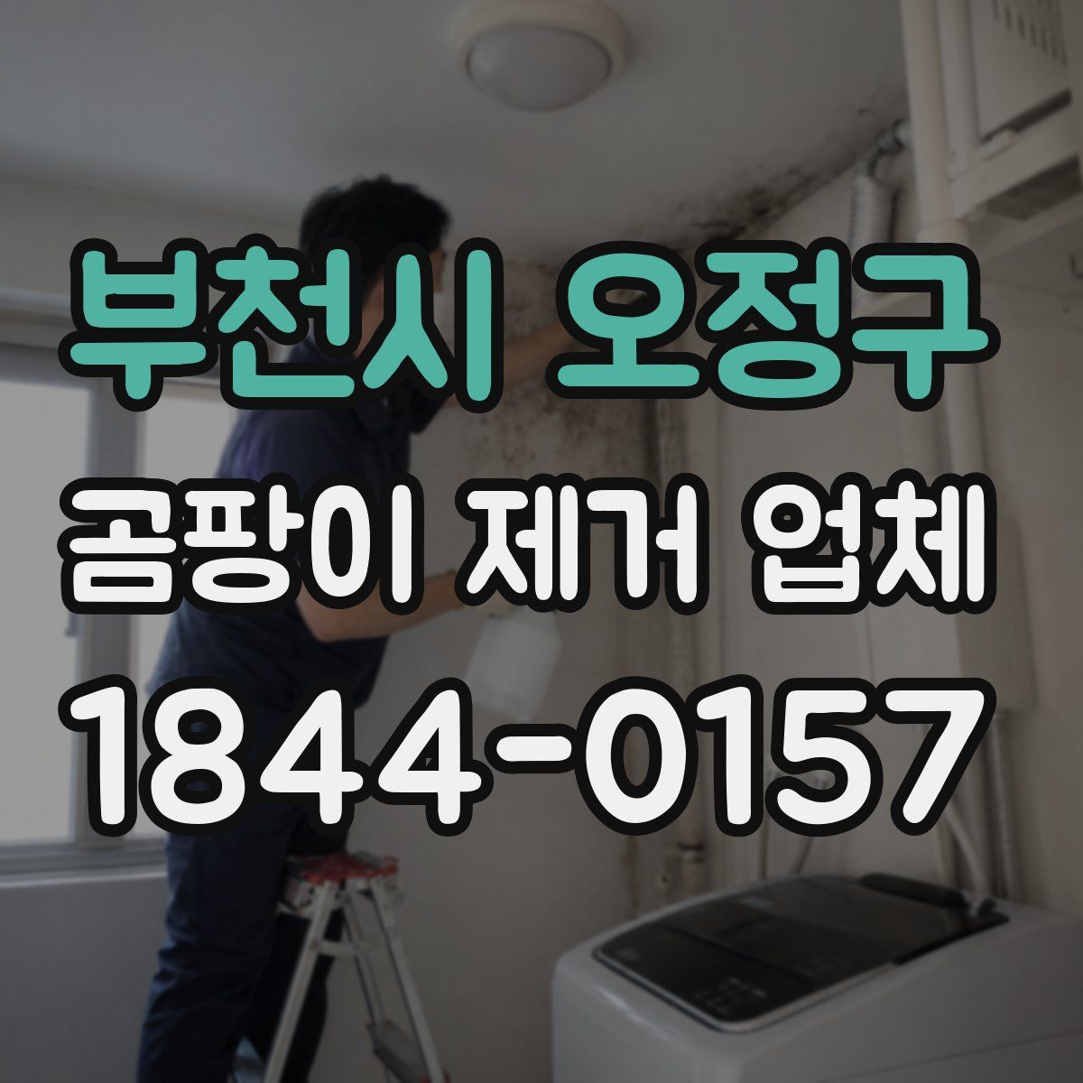 부천시 오정구 곰팡이 제거 업체