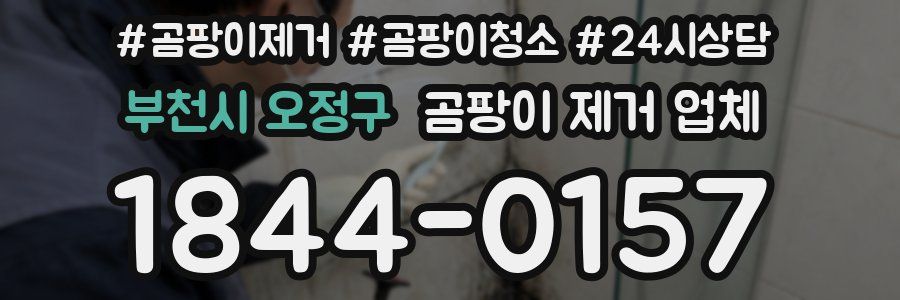 부천시 오정구 곰팡이 제거 업체
