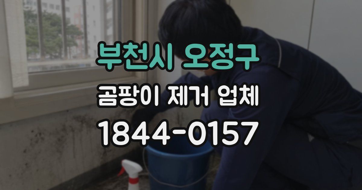 부천시 오정구 곰팡이 제거 업체