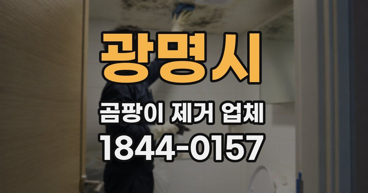 광명시 곰팡이 제거 업체