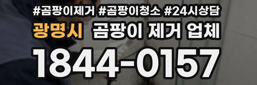 광명시 곰팡이 제거 업체