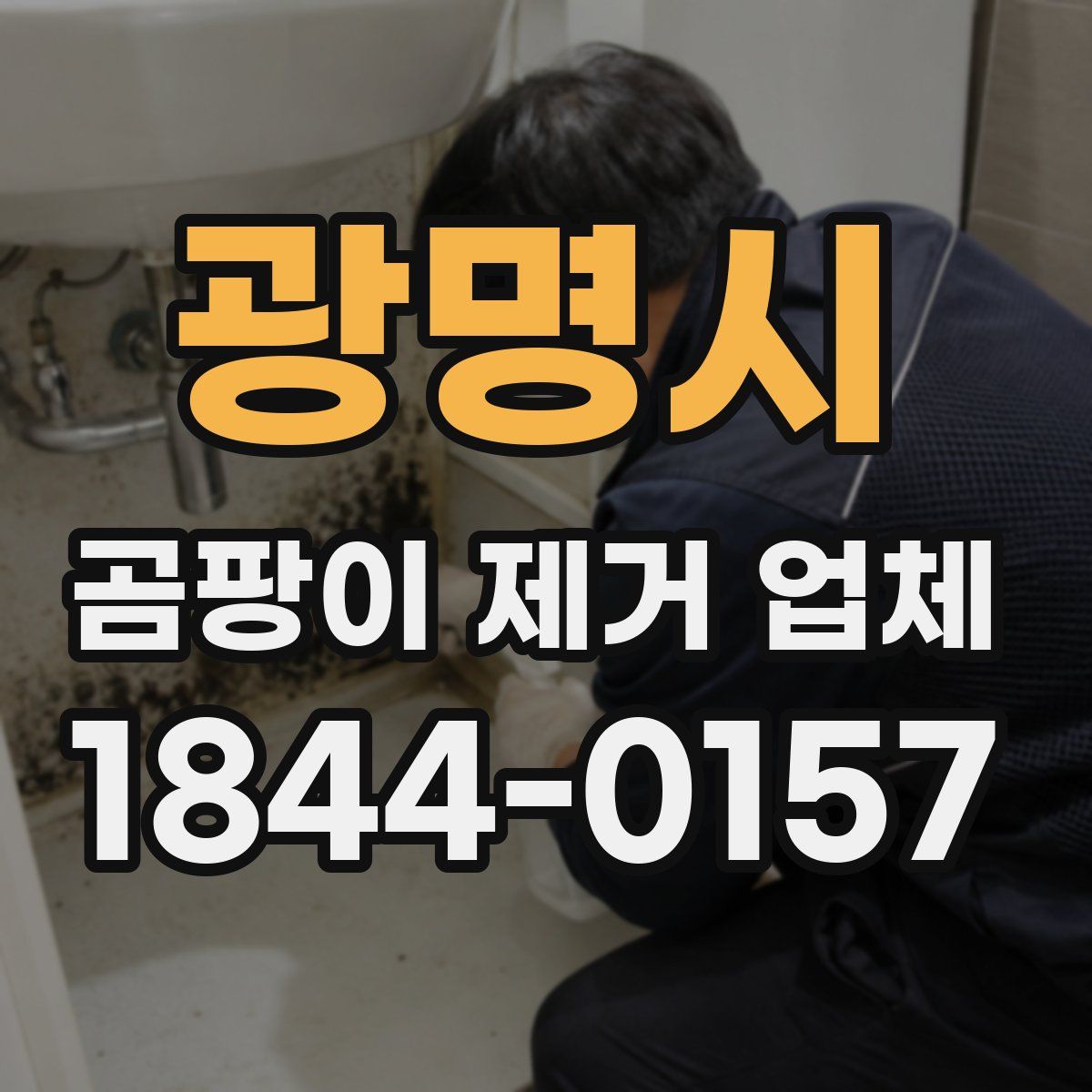 광명시 곰팡이 제거 업체