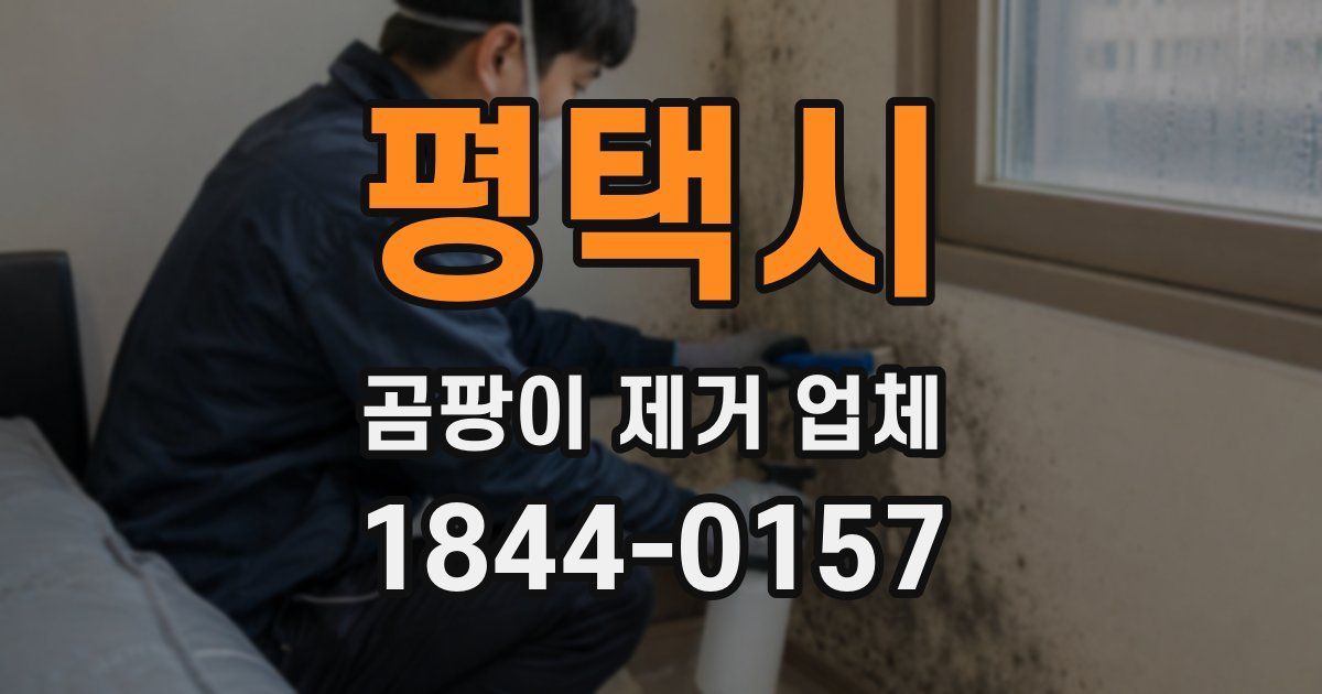 평택시 곰팡이 제거 업체