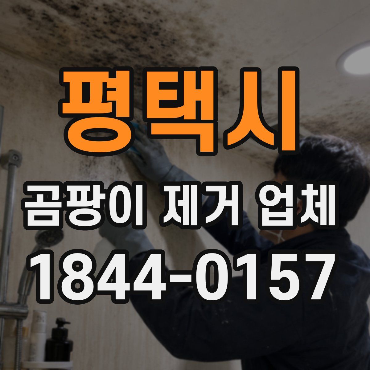 평택시 곰팡이 제거 업체