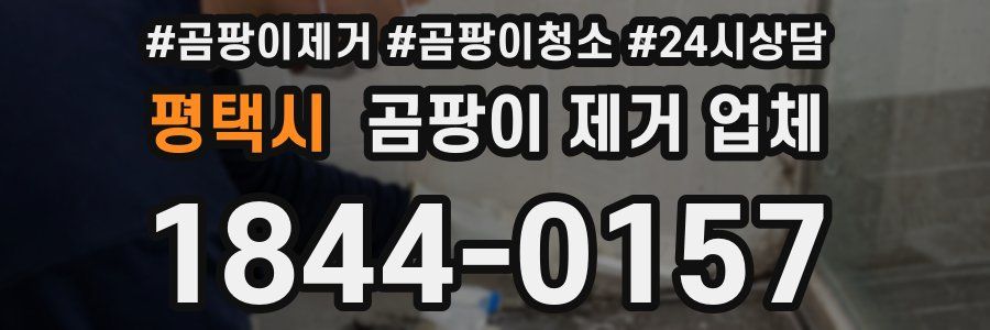 평택시 곰팡이 제거 업체