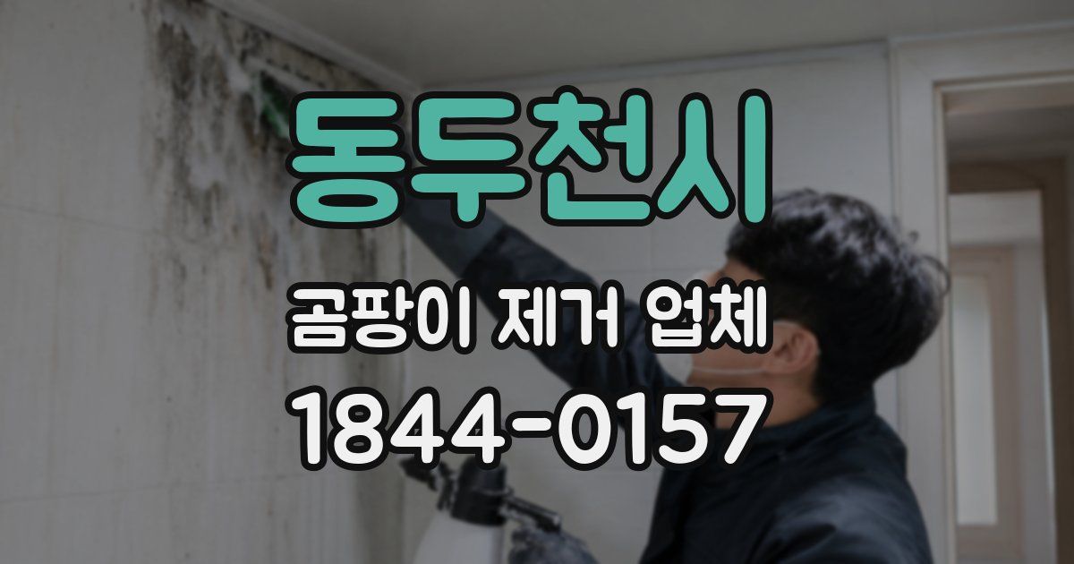 동두천시 곰팡이 제거 업체