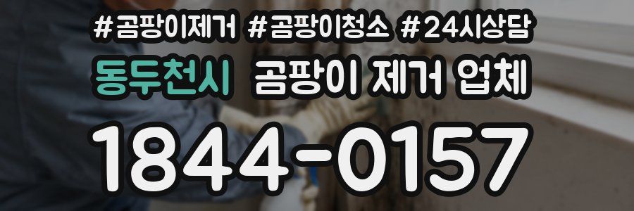 동두천시 곰팡이 제거 업체
