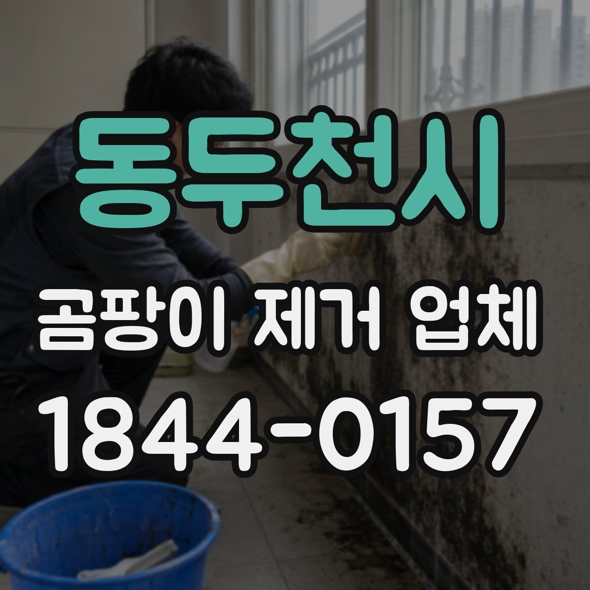 동두천시 곰팡이 제거 업체