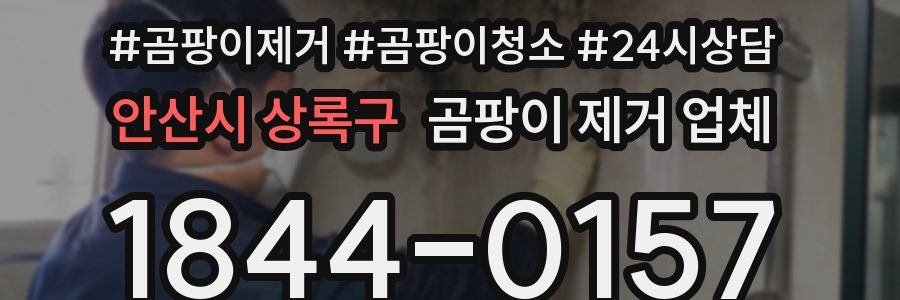 안산시 상록구 곰팡이 제거 업체