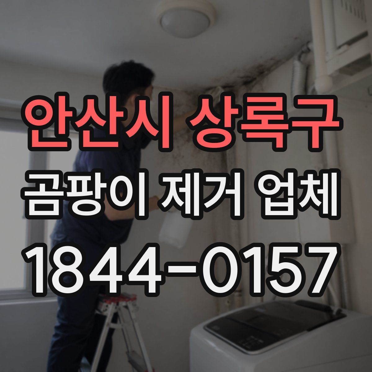 안산시 상록구 곰팡이 제거 업체