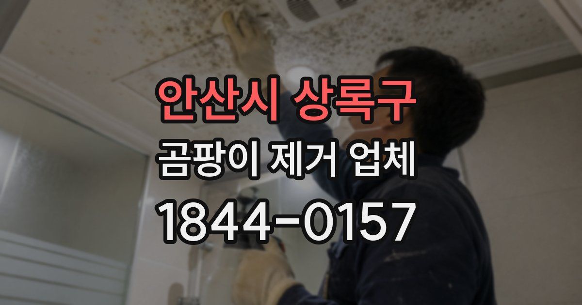 안산시 상록구 곰팡이 제거 업체