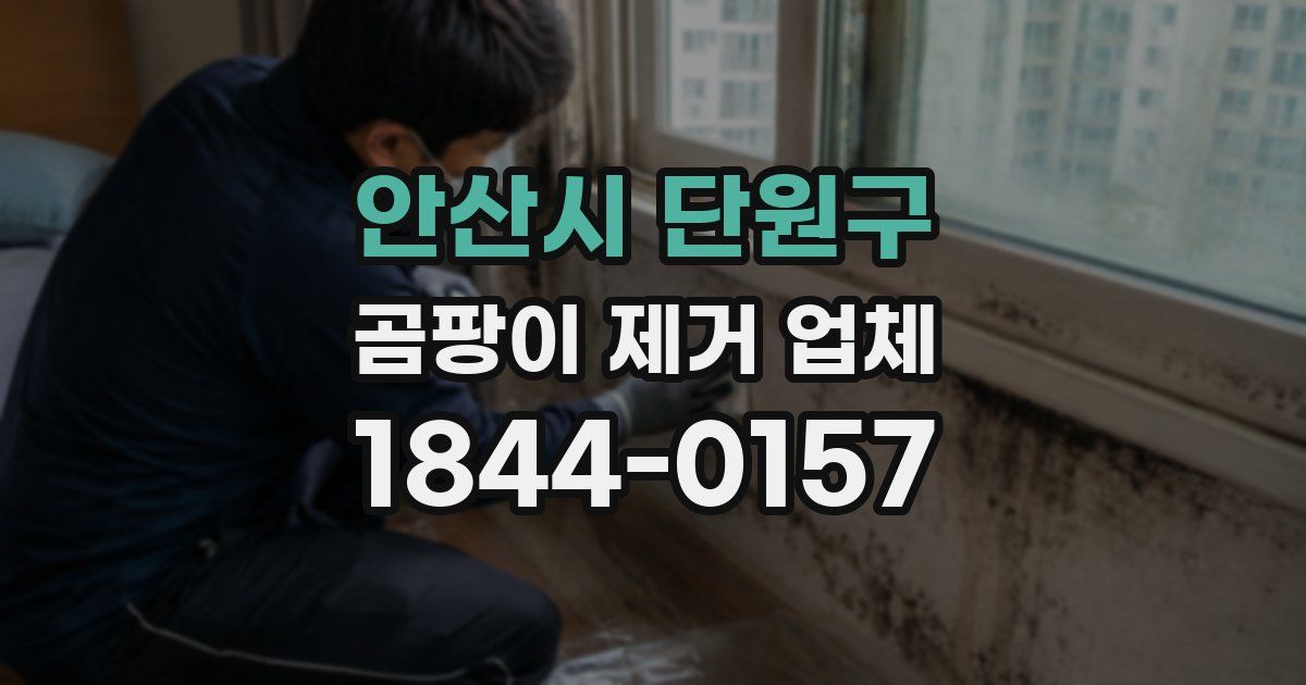 안산시 단원구 곰팡이 제거 업체