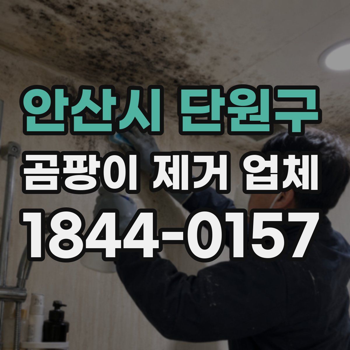 안산시 단원구 곰팡이 제거 업체