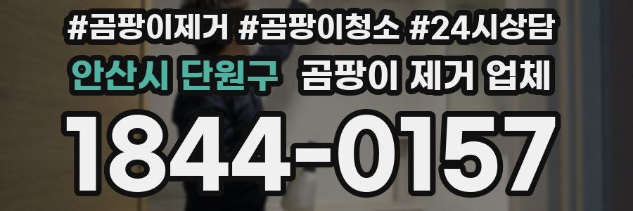 안산시 단원구 곰팡이 제거 업체