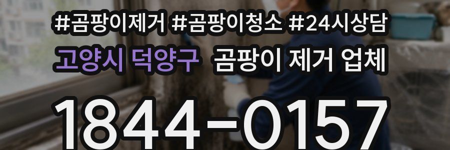 고양시 덕양구 곰팡이 제거 업체