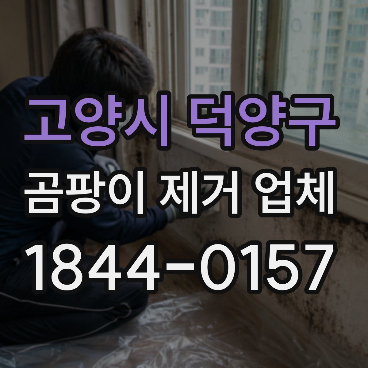 고양시 덕양구 곰팡이 제거 업체