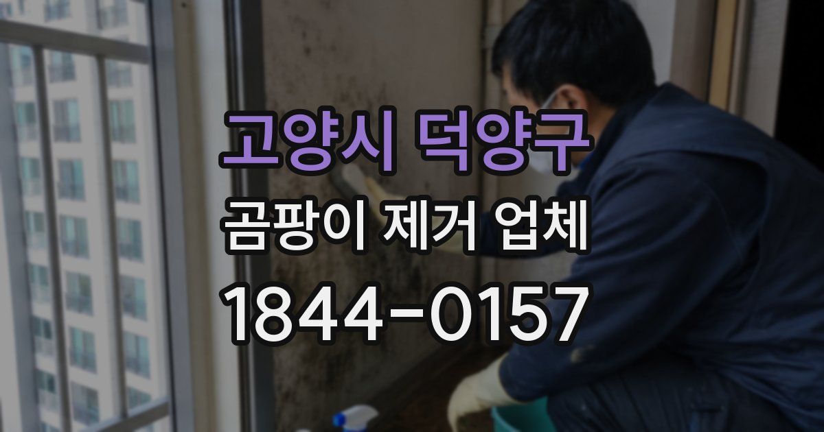 고양시 덕양구 곰팡이 제거 업체