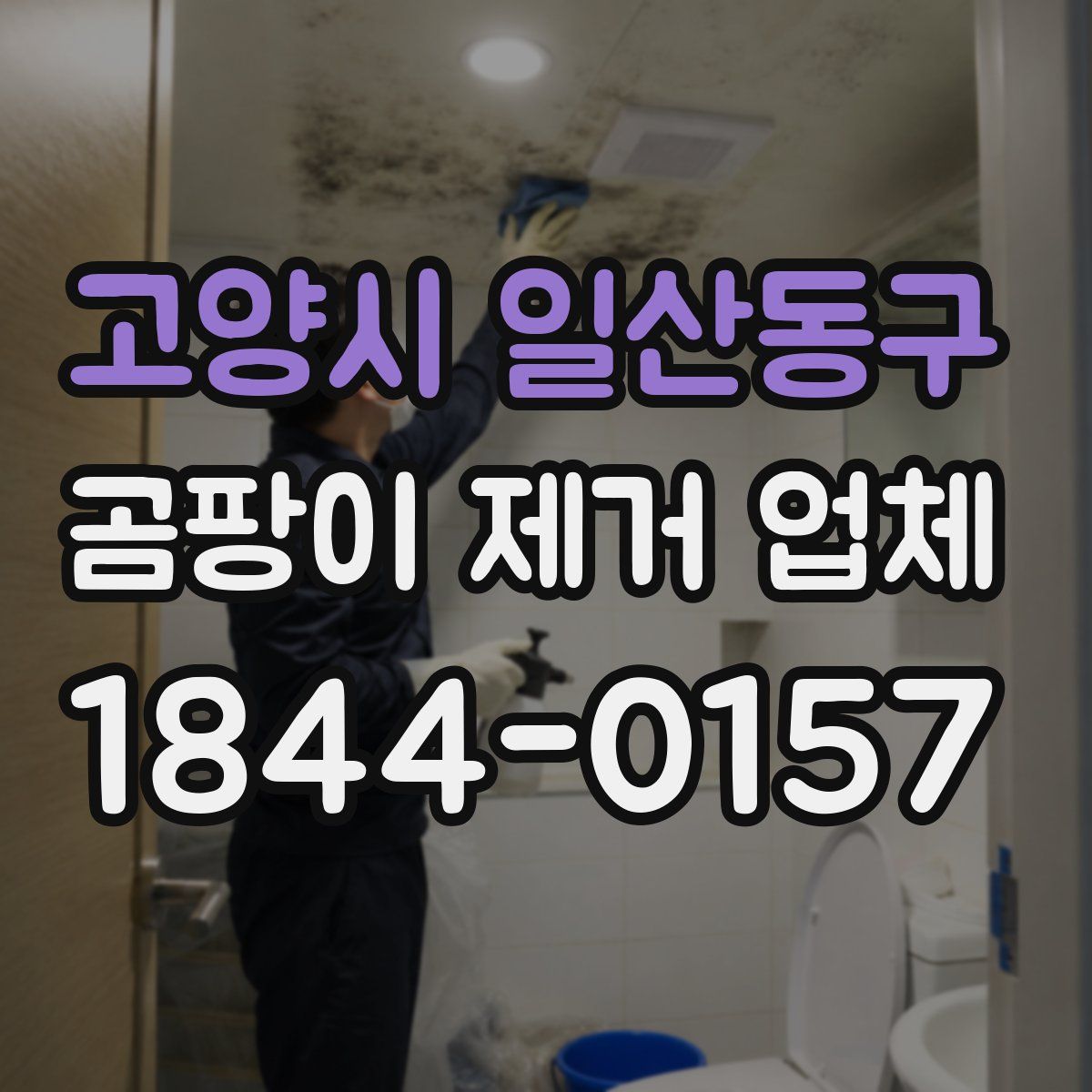 고양시 일산동구 곰팡이 제거 업체