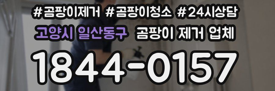 고양시 일산동구 곰팡이 제거 업체