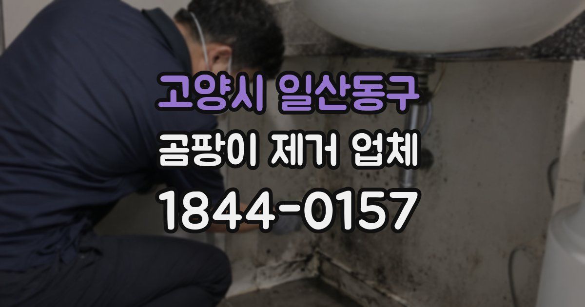 고양시 일산동구 곰팡이 제거 업체