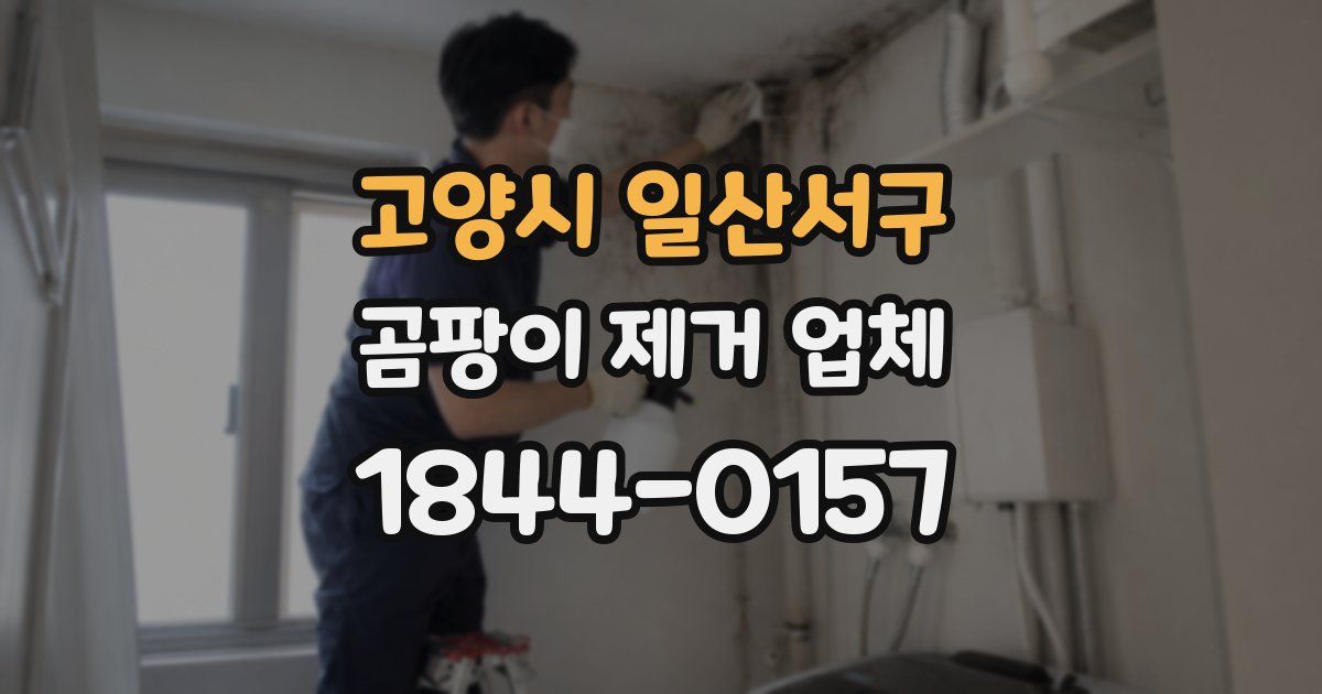고양시 일산서구 곰팡이 제거 업체