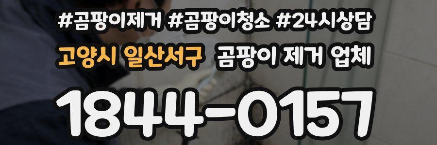 고양시 일산서구 곰팡이 제거 업체