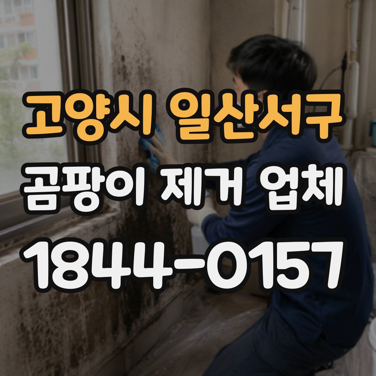 고양시 일산서구 곰팡이 제거 업체