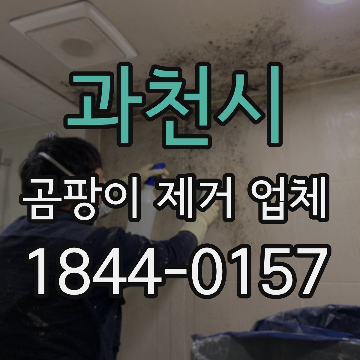 과천시 곰팡이 제거 업체