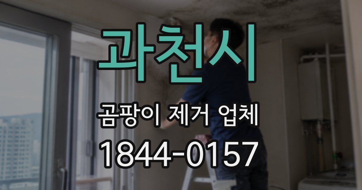 과천시 곰팡이 제거 업체