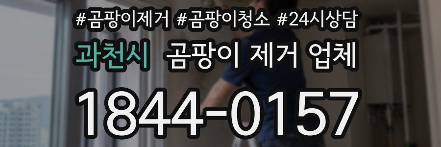 과천시 곰팡이 제거 업체