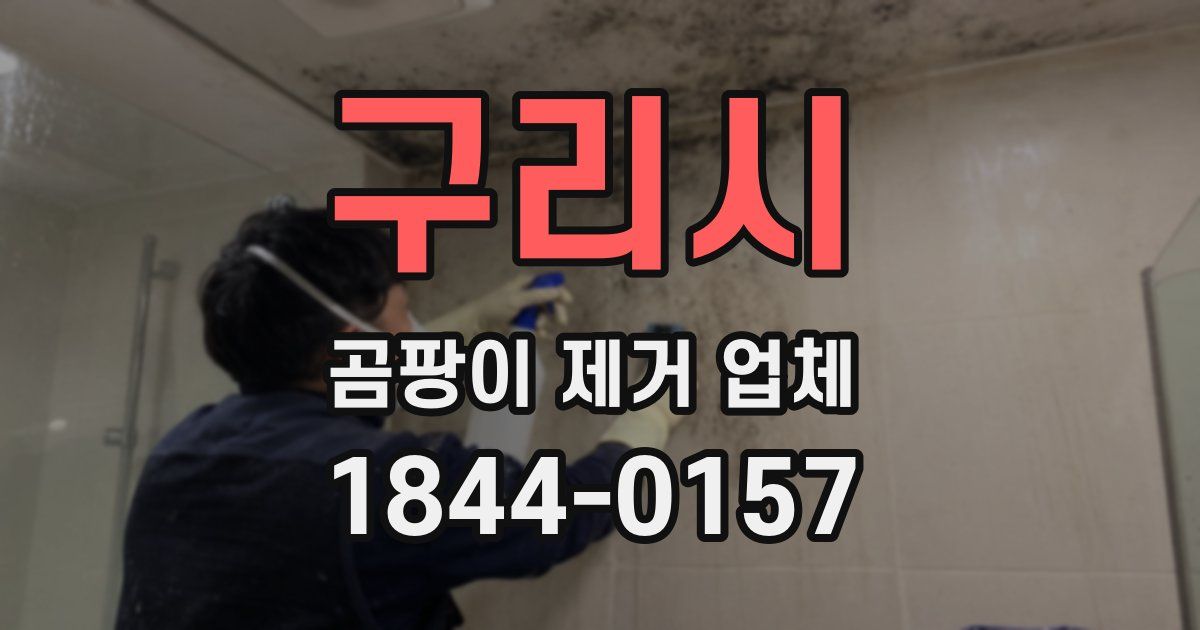 구리시 곰팡이 제거 업체