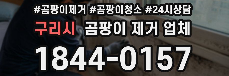 구리시 곰팡이 제거 업체