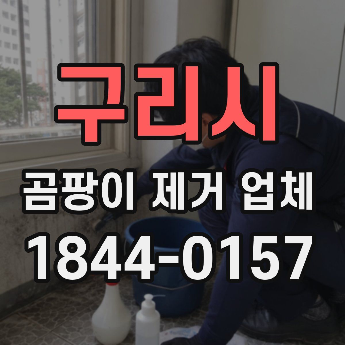 구리시 곰팡이 제거 업체